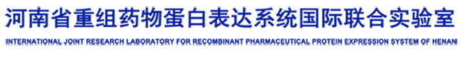 国际联合实验室