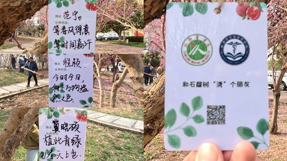 201c6bf26854faaf6fbf544d3558e5e