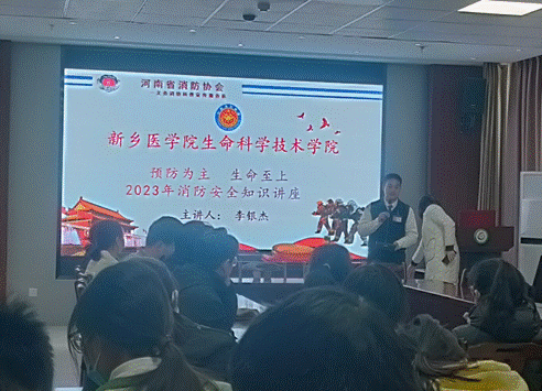 51c72ada9880e4da3ea58cd7aba168b