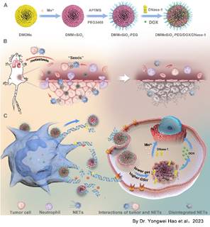 说明: C:\Users\chenh\Documents\WeChat Files\wxid_u9lvsdvnnqsk21\FileStorage\File\2023-04\Scheme 1 hyw(1).tif